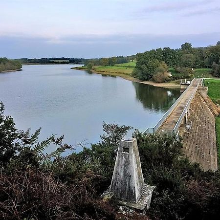 Charmant Appartement Entre Vitre Et Fougeres Chatillon-en-Vendelais エクステリア 写真